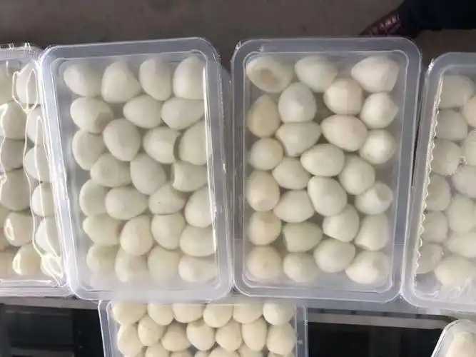 整線解決方案，優(yōu)化生產流程：鵪鶉蛋包裝神器來襲